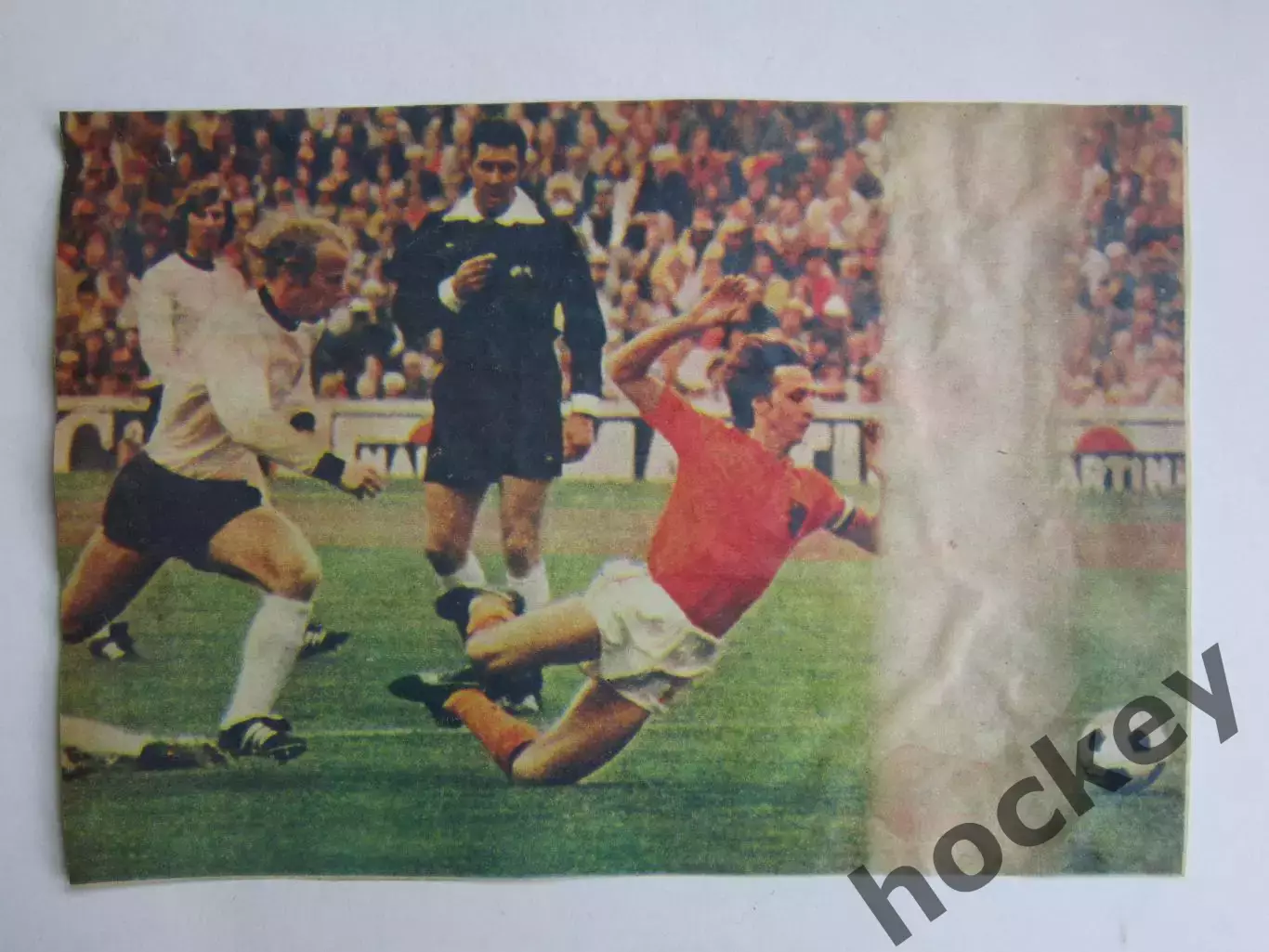 Вырезка. Футбол. Фото 594.