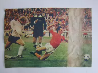 Вырезка. Футбол. Фото 594.