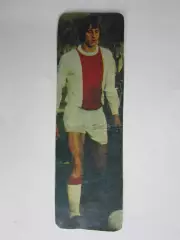 Вырезка. Футбол. Фото 595.