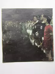 Вырезка. Футбол. Фото 596.