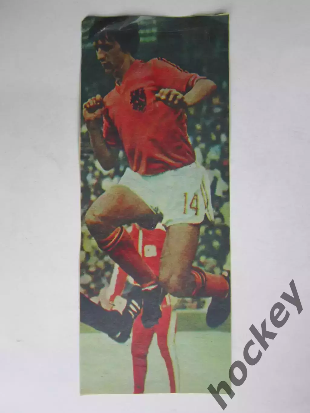 Вырезка. Футбол. Фото 598.