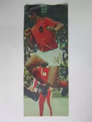 Вырезка. Футбол. Фото 598.