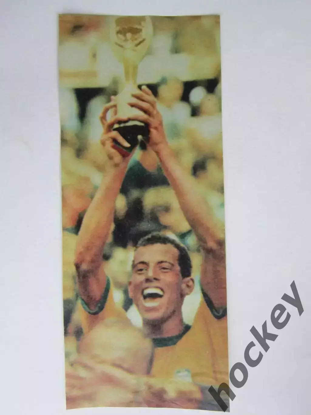 Вырезка. Футбол. Фото 599.