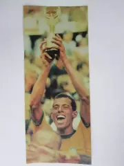 Вырезка. Футбол. Фото 599.