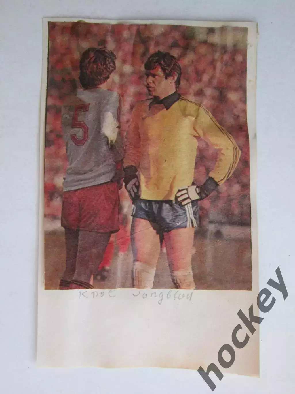 Вырезка. Футбол. Фото 604.