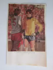 Вырезка. Футбол. Фото 604.