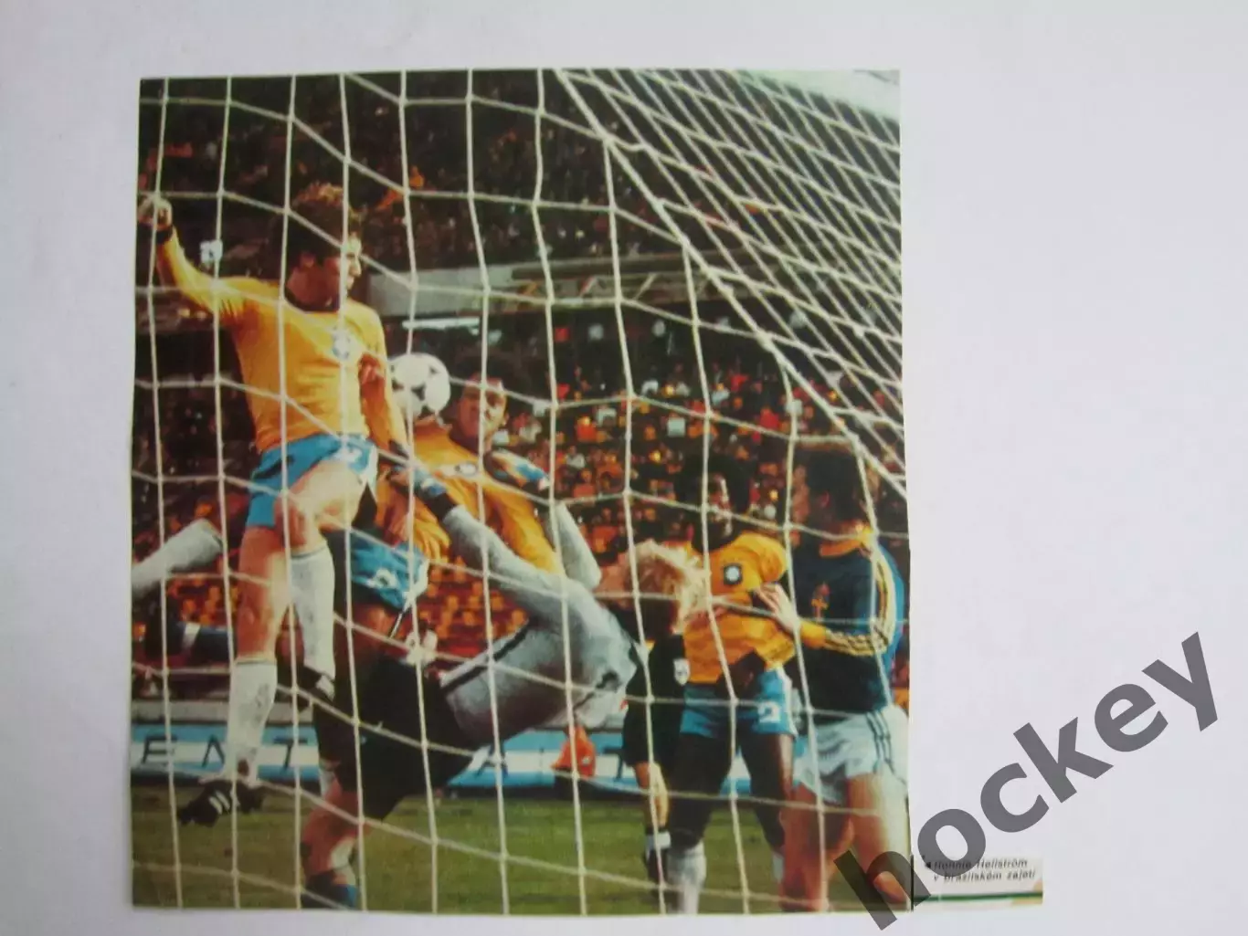 Вырезка. Футбол. Фото 621.