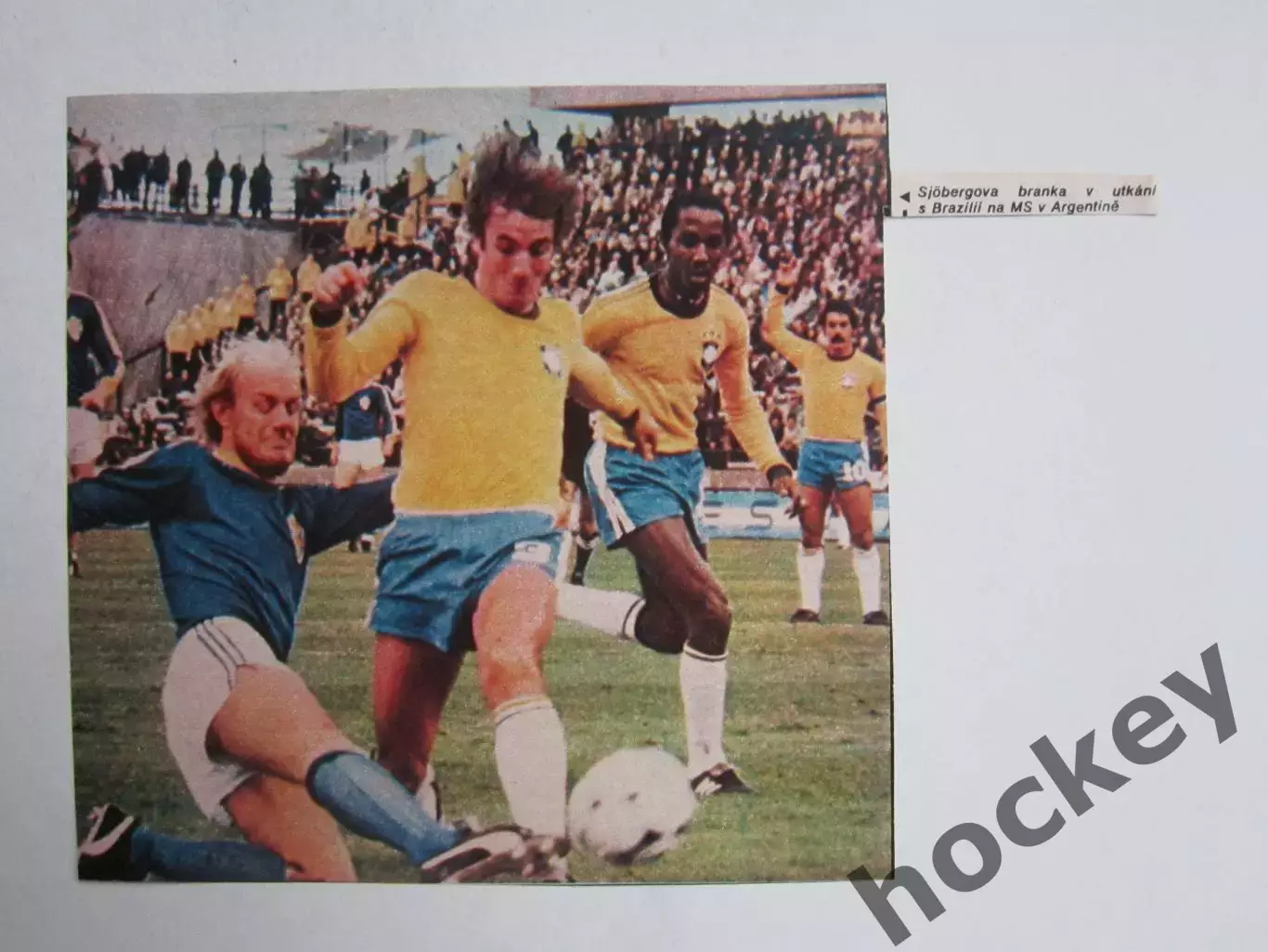 Вырезка. Футбол. Фото 624.