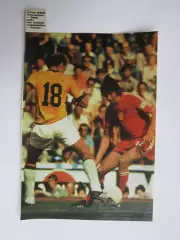 Вырезка. Футбол. Фото 627.