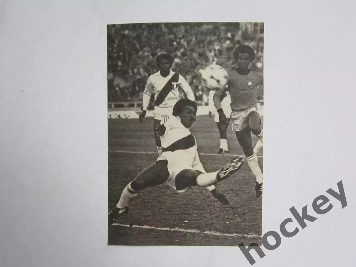 Вырезка. Футбол. Фото 629.