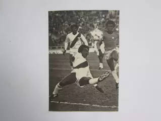 Вырезка. Футбол. Фото 629.