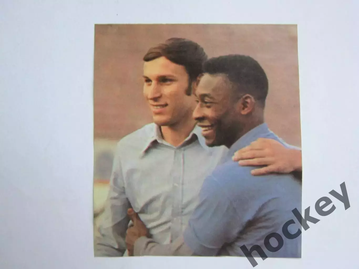 Вырезка. Футбол. Фото 631.