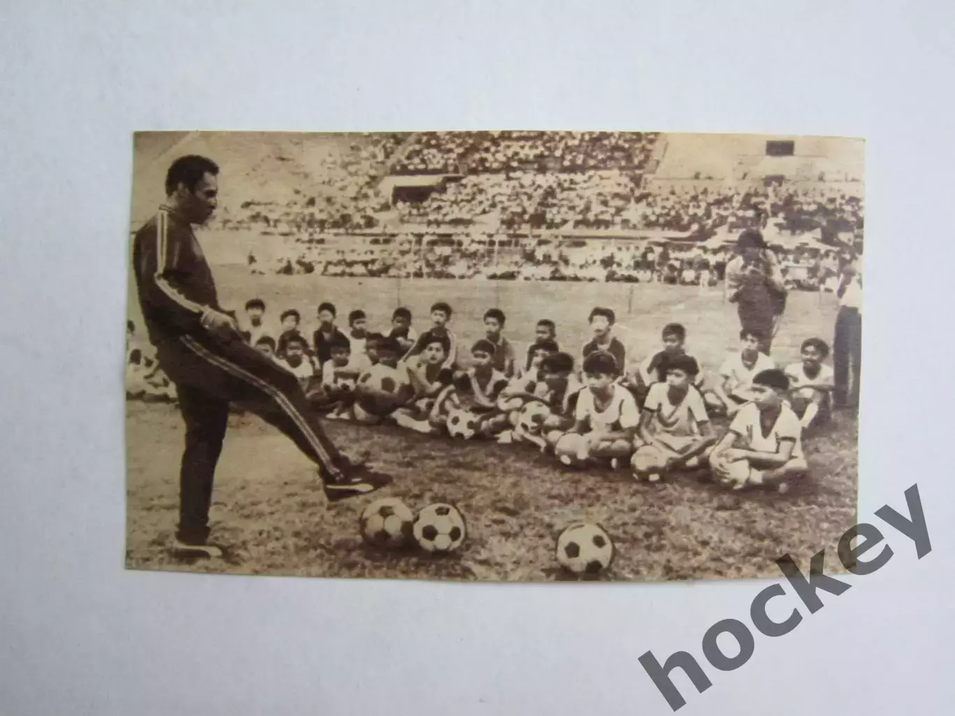 Вырезка. Футбол. Фото 637.