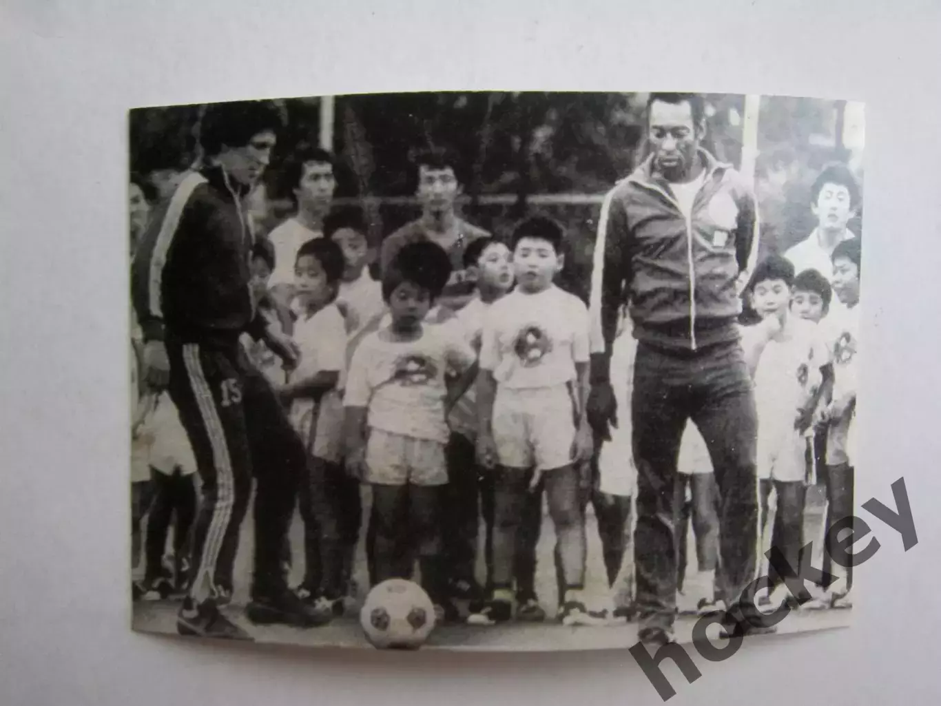 Вырезка. Футбол. Фото 639.