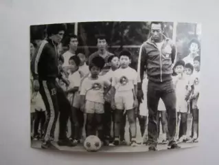 Вырезка. Футбол. Фото 639.