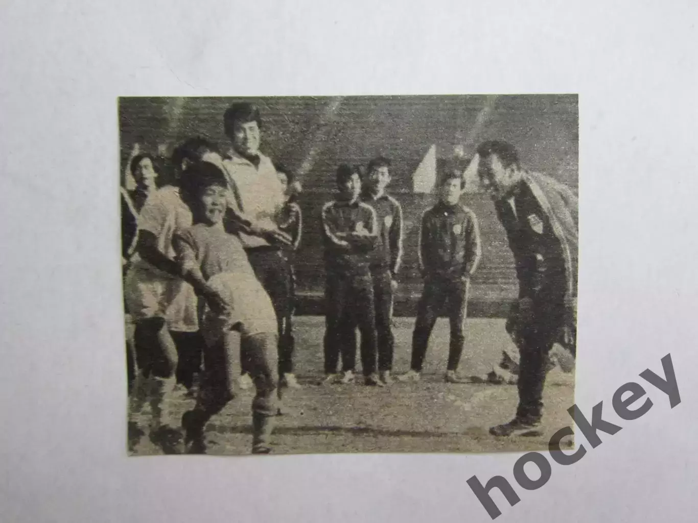 Вырезка. Футбол. Фото 640.