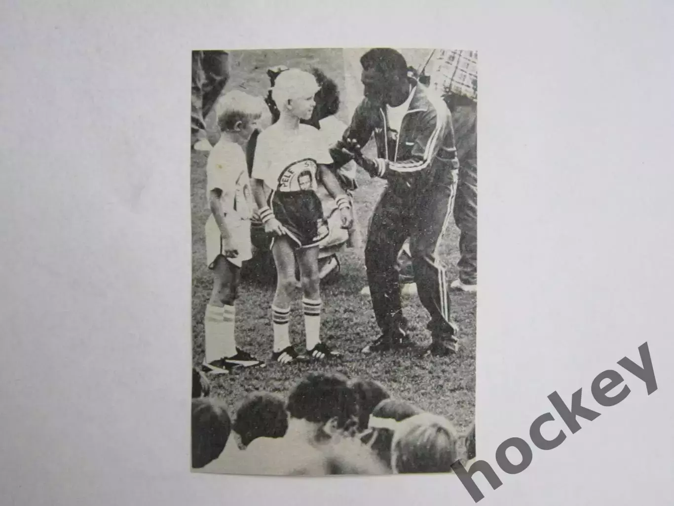 Вырезка. Футбол. Фото 641.