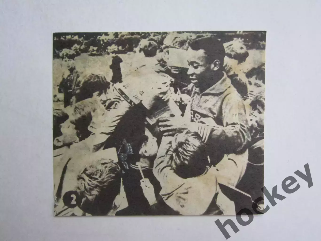 Вырезка. Футбол. Фото 642.