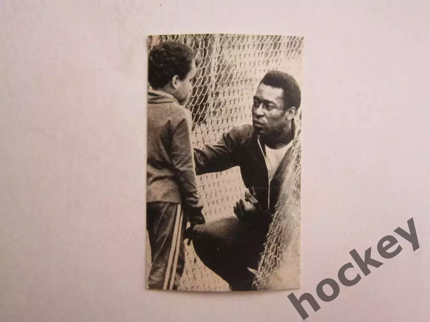 Вырезка. Футбол. Фото 645.