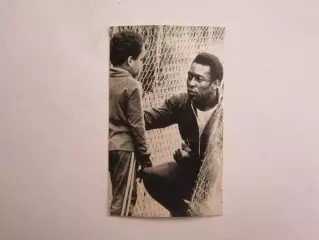 Вырезка. Футбол. Фото 645.