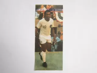 Вырезка. Футбол. Фото 650.