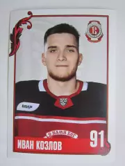 Иван Козлов (Витязь). Фотооткрытка. Размер 10 на 15