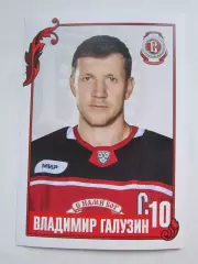 Владимир Галузин (Витязь). Фотооткрытка. Размер 10 на 15