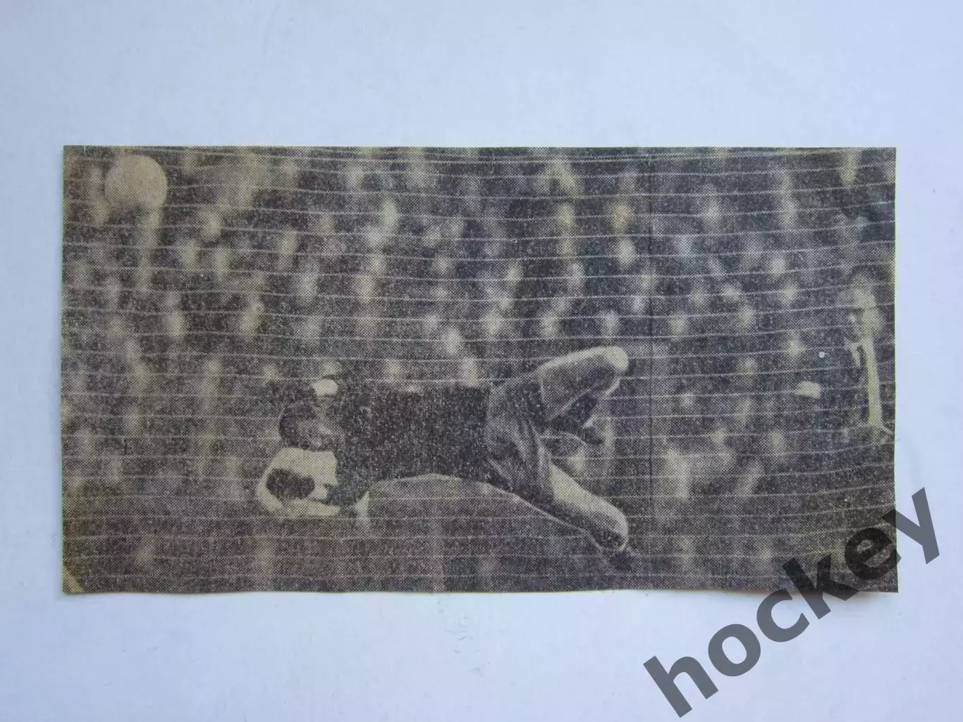 Вырезка. Футбол. Фото 651.