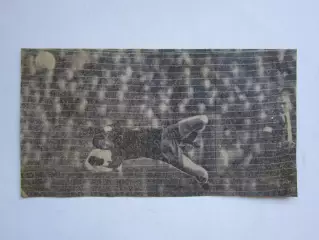 Вырезка. Футбол. Фото 651.