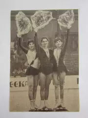 Вырезка. Фигурное катание. Фото 61.