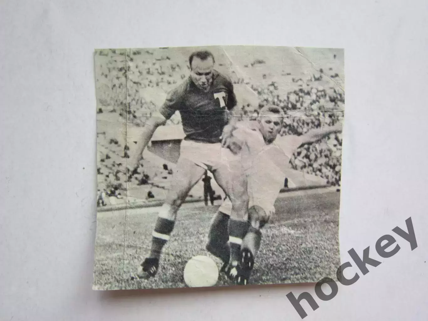 Вырезка. Футбол. Фото 658.