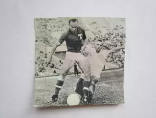 Вырезка. Футбол. Фото 658.