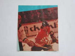 Вырезка. Хоккей. Фото 22.