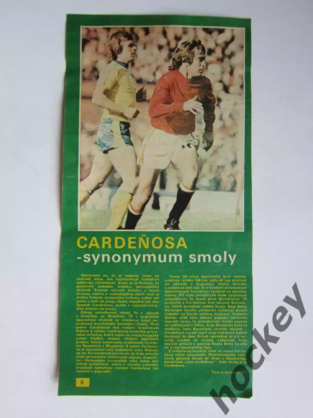 Вырезка. Футбол. Фото 665.