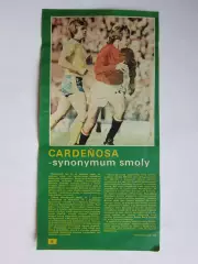 Вырезка. Футбол. Фото 665.