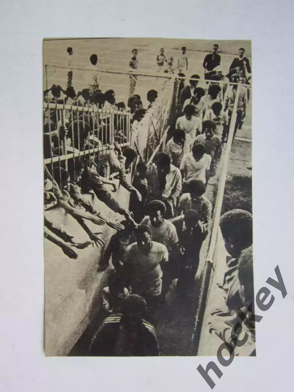 Вырезка. Футбол. Фото 666.