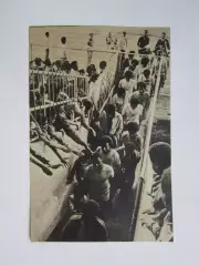 Вырезка. Футбол. Фото 666.