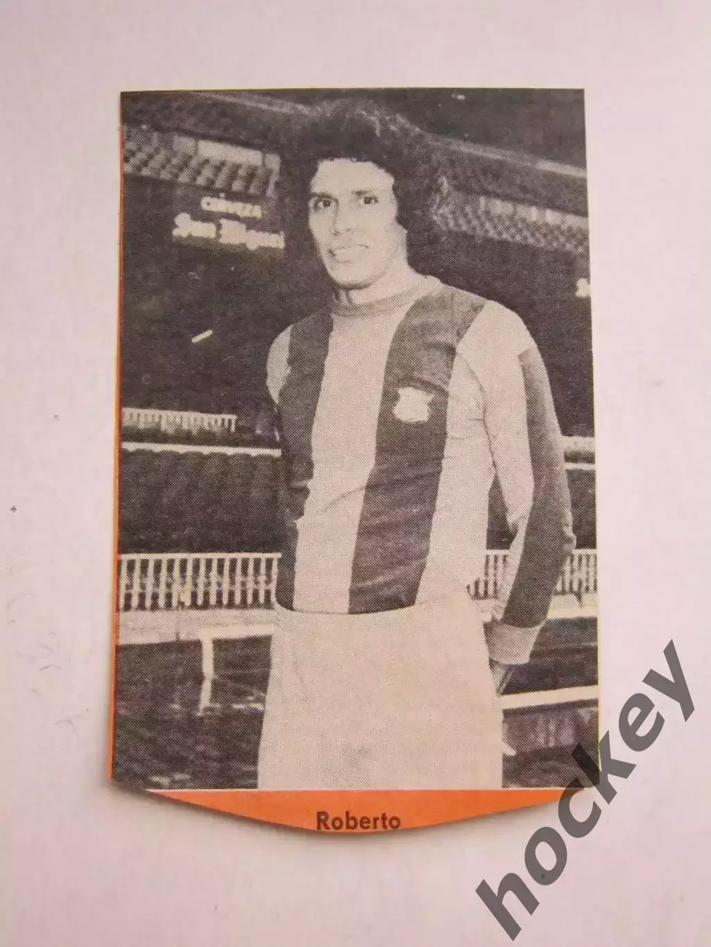 Вырезка. Футбол. Фото 667. Роберто