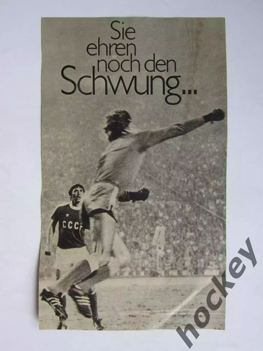 Вырезка. Футбол. Фото 669.