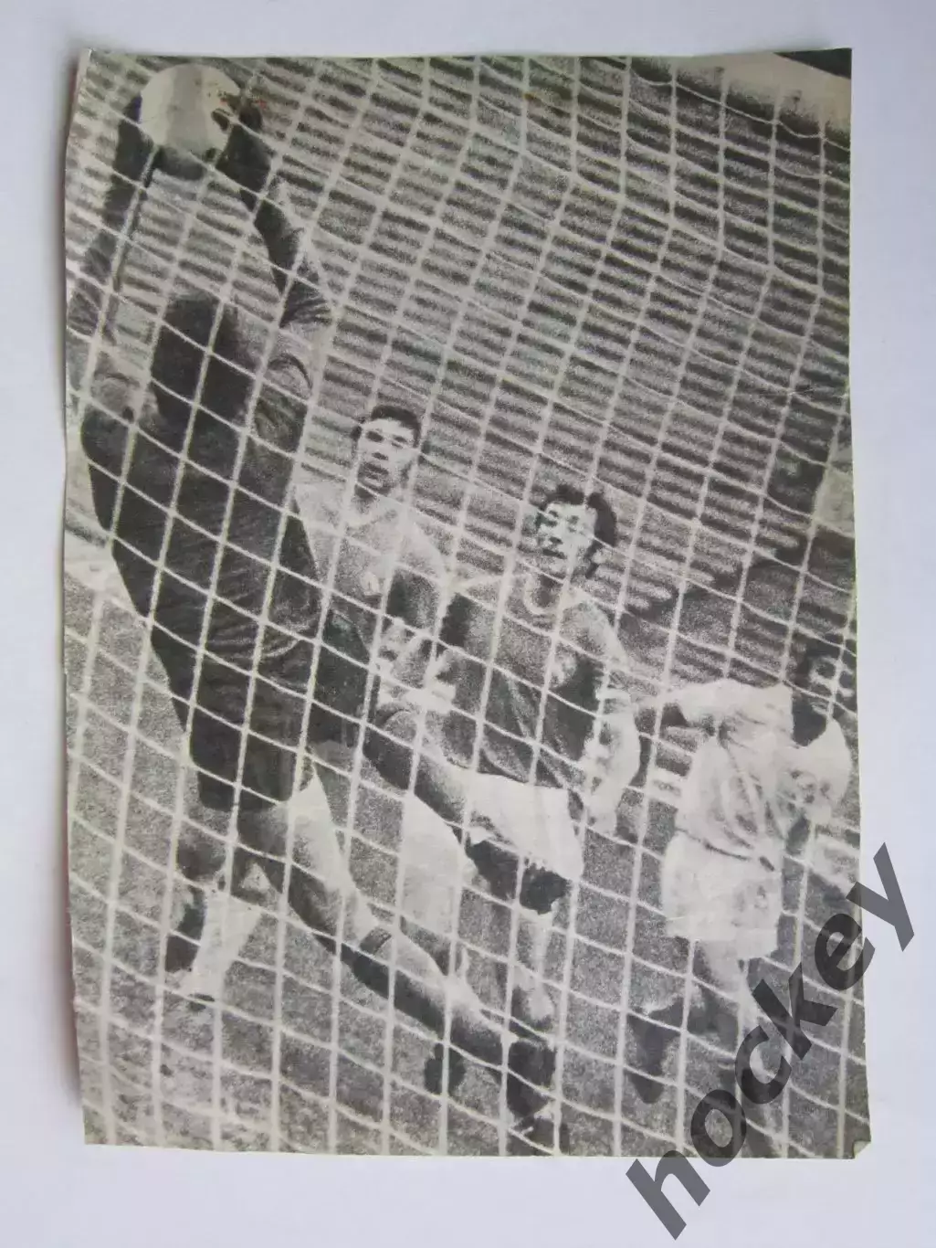 Вырезка. Футбол. Фото 670.