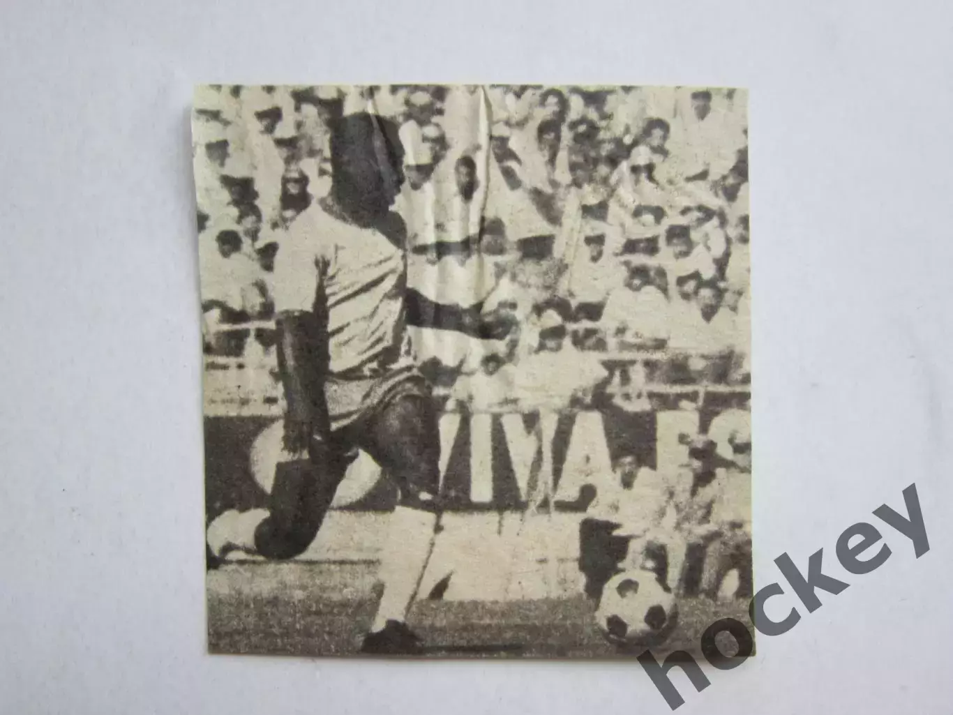 Вырезка. Футбол. Фото 674.