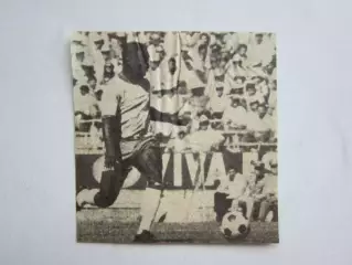 Вырезка. Футбол. Фото 674.