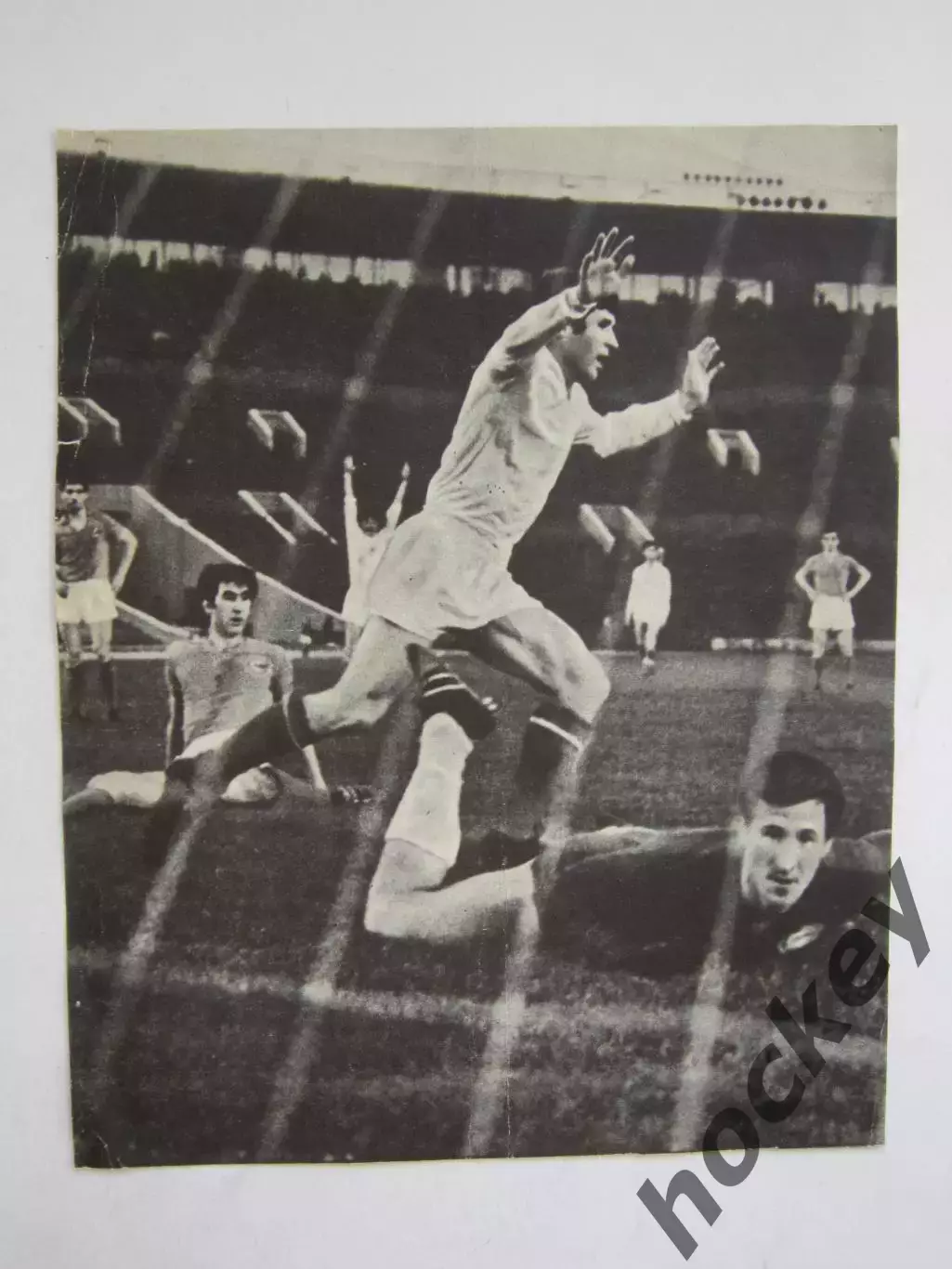 Вырезка. Футбол. Фото 675.