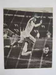 Вырезка. Футбол. Фото 675.