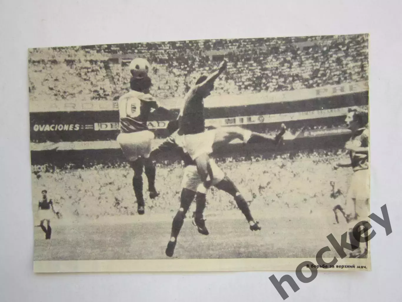 Вырезка. Футбол. Фото 677.