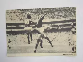 Вырезка. Футбол. Фото 677.