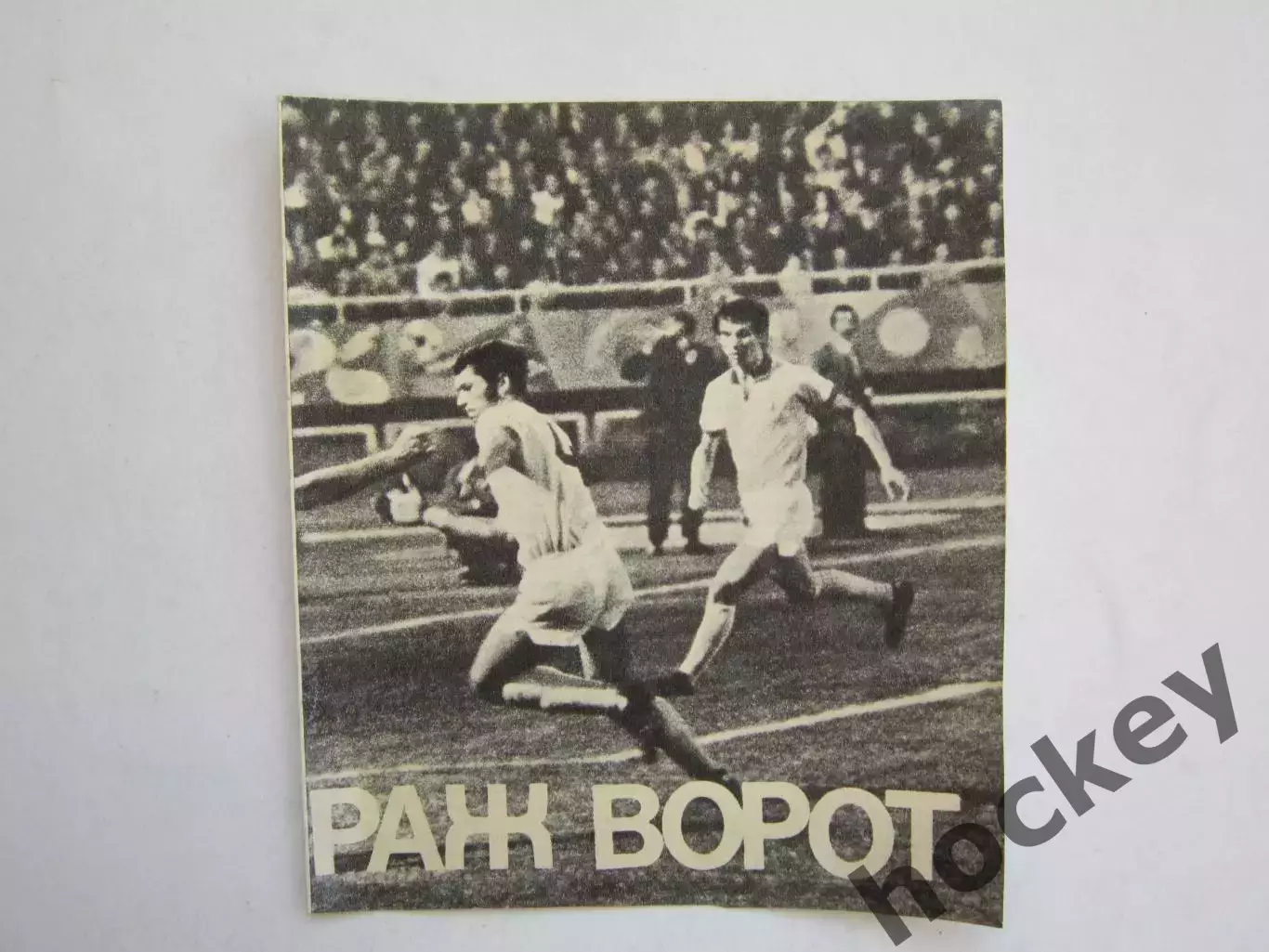 Вырезка. Футбол. Фото 679.