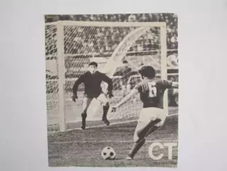 Вырезка. Футбол. Фото 680.