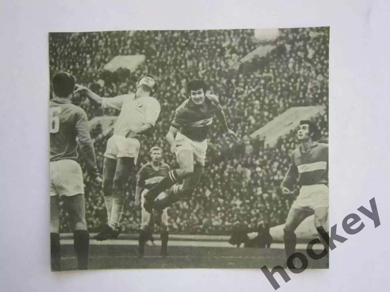 Вырезка. Футбол. Фото 682.