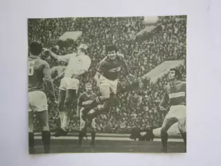 Вырезка. Футбол. Фото 682.